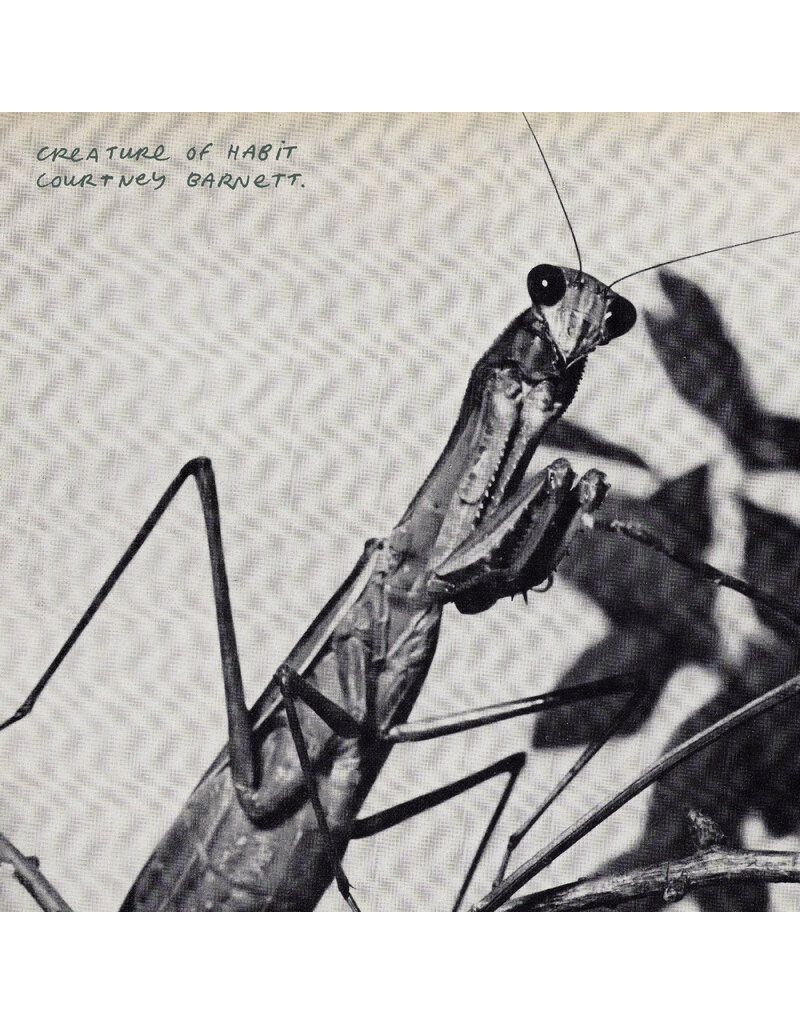(LP) Courtney Barnett - Creature of Habit (Indie Exclusive Caramel 140g Vinyl)