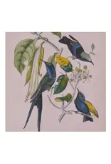 (LP) Susumu Yokota - Sakura (Skintone Edition) (Petrol Blue Vinyl) (2LP) [2026 Reissue]