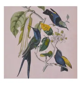 (LP) Susumu Yokota - Sakura (Skintone Edition) (Petrol Blue Vinyl) (2LP) [2026 Reissue]