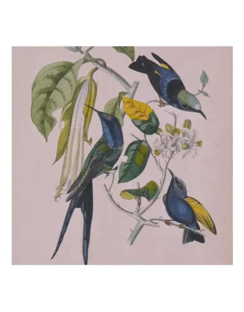 (LP) Susumu Yokota - Sakura (Skintone Edition) (Petrol Blue Vinyl) (2LP) [2026 Reissue]