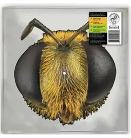 (LP) King Gizzard & The Lizard Wizard - Big Fig Wasp (Picture Disc) (RSD26)