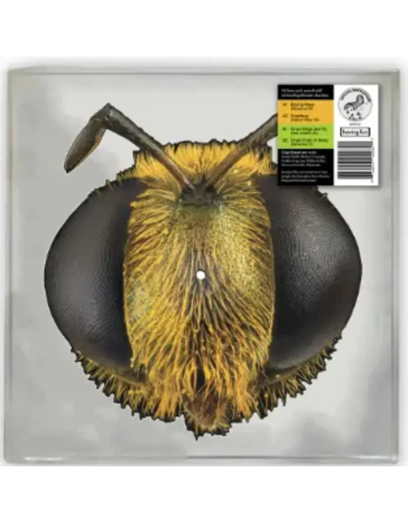 (LP) King Gizzard & The Lizard Wizard - Big Fig Wasp (Picture Disc) (RSD26)