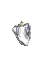 Rhino-Elektra (LP) Ween - White Pepper (Green Vinyl) 2026 Reissue