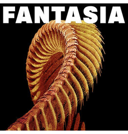 (LP) Slift - Fantasia (2LP LOSER edition yellow vinyl)