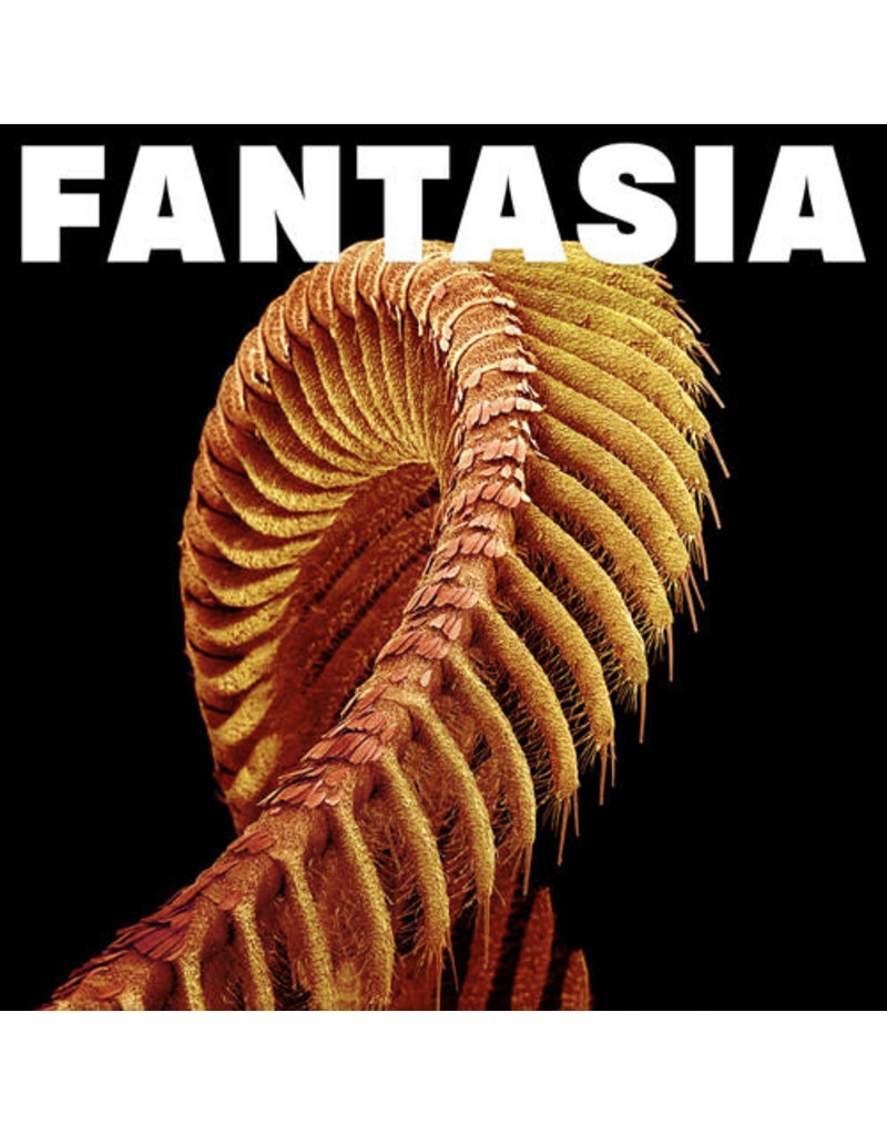 (LP) Slift - Fantasia (2LP LOSER edition yellow vinyl)