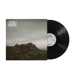 Rounder (LP) Bella White - A Sign In The Weather