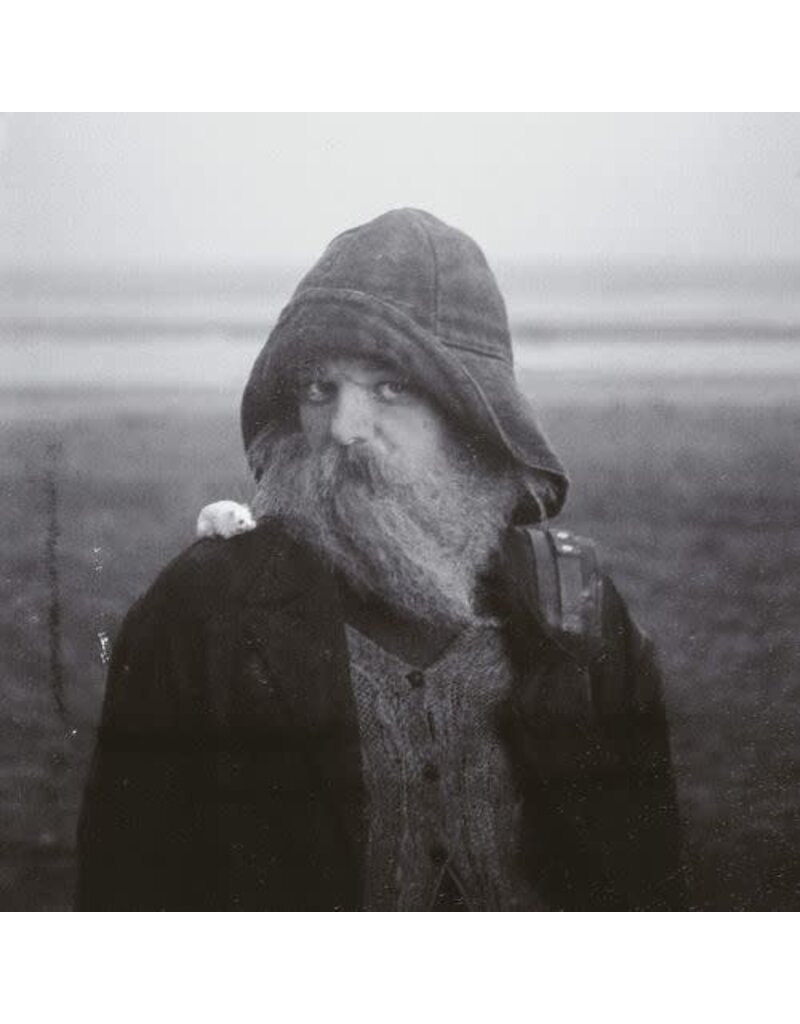Virgin Records (LP) Mary In The Junkyard - Role Model Hermit (Standard Edition)