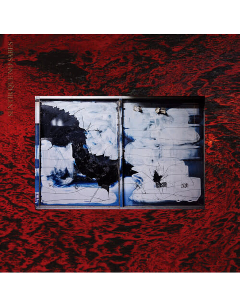 (LP) Mabe Fratti - Sentir que no sabes (black vinyl)
