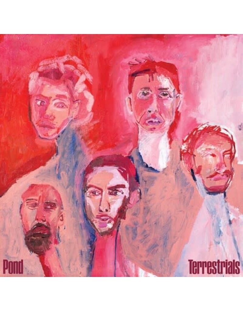 (CD) Pond - Terrestrials