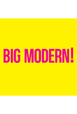 NO COINCIDENCE (CD) Goose - BIG MODERN!