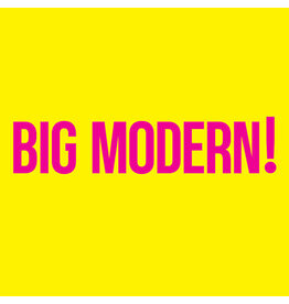 NO COINCIDENCE (CD) Goose - BIG MODERN!