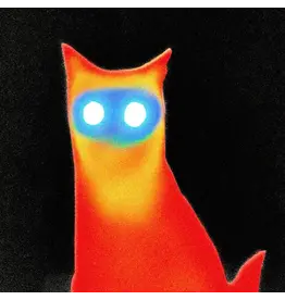 Run For Cover (LP) Basement - WIRED (Black vinyl)