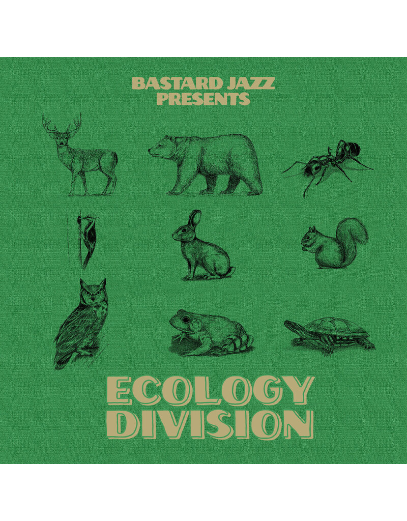 Bastard Jazz Recordings (LP) Various Artists - Bastard Jazz Presents: Ecology Division