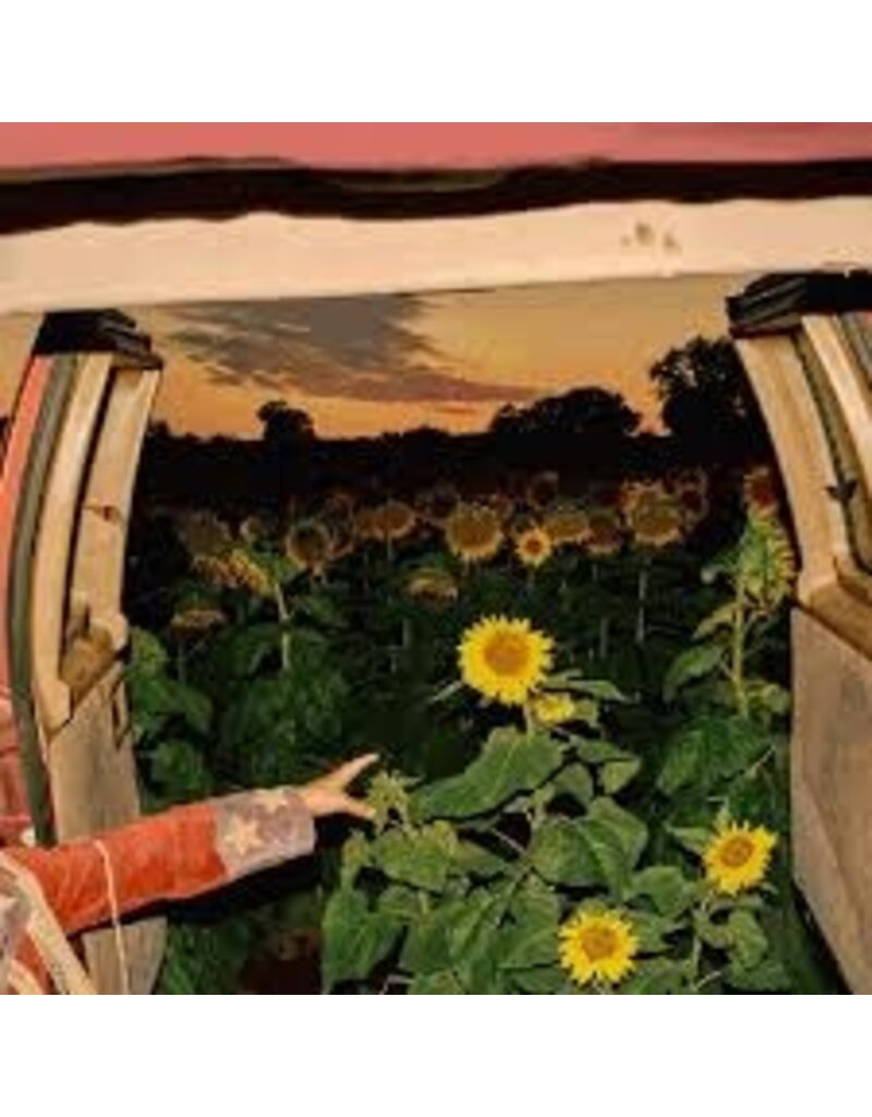 (CD) Kevin Morby - Little Wide Open