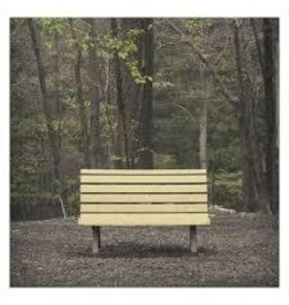 (LP) Streetlight Manifesto - The Hands That Thieve (Indie Exclusive Red Smoke Vinyl) 2026 Reissue