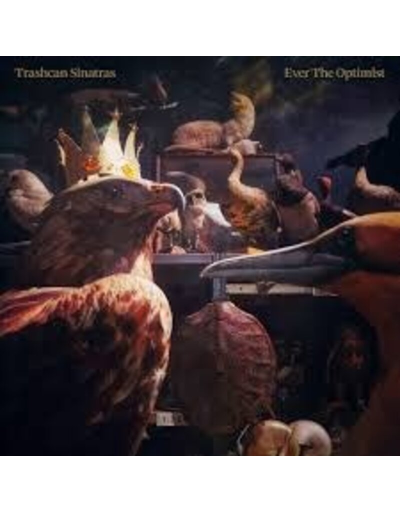 (LP) Trashcan Sinatras - Ever The Optimist (Black Vinyl)