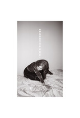 (CD) Julia Holter - Materia