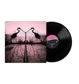 BMG Rights Management (LP) Afghan Whigs - Soft Control (Standard Edition)