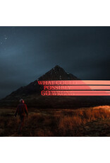 (LP) Dominic Fike - what Could Possibly Go Wrong?