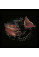 Play It Again Sam (CD) Gurriers - Nobody's Coming To Save You