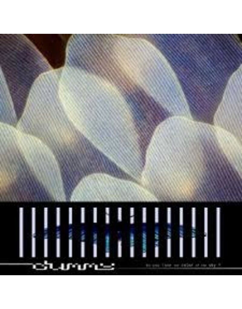 (CD) Dummy - do you love the color of the sky?