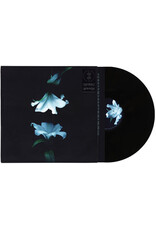 (LP) Wasia Project - Nocturne (Standard Black Vinyl)