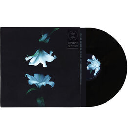 (LP) Wasia Project - Nocturne (Standard Black Vinyl)