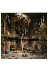 (LP) Fountains of Wayne - Sky Full of Holes - 15th Anniversary Edition (Summer Sky Splash Vinyl) (BF26)