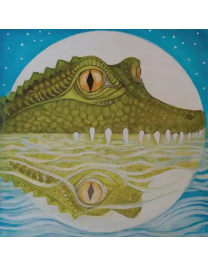 (LP) Robert Hunter - Alligator Moon (BF26)