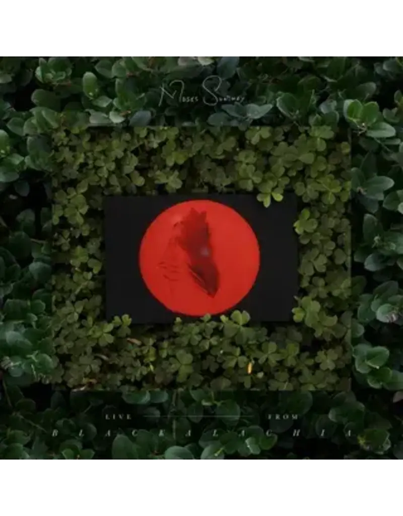 (LP) Moses Sumney - Live From Blackalachia (2LP)