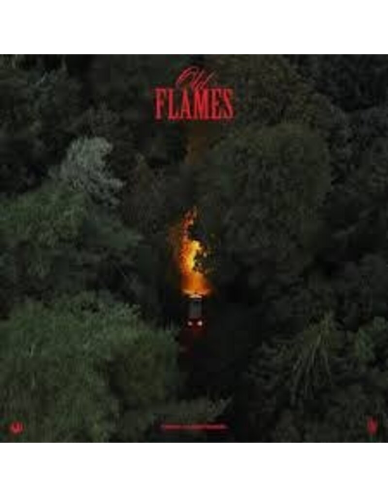 (CD) La Roux - Old Flames