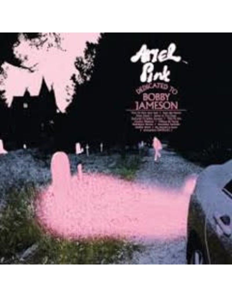(LP) Ariel Pink - Dedicated To Bobby Jameson (reg) (DIS)