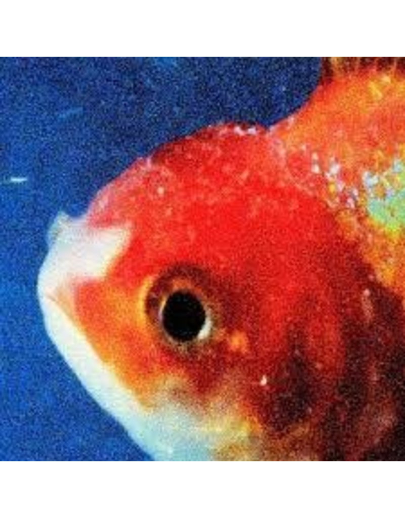 (LP) Staples, Vince - Big Fish Theory (Pic Disc)