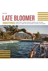 6131 Records (LP) Late Bloomer - Waiting