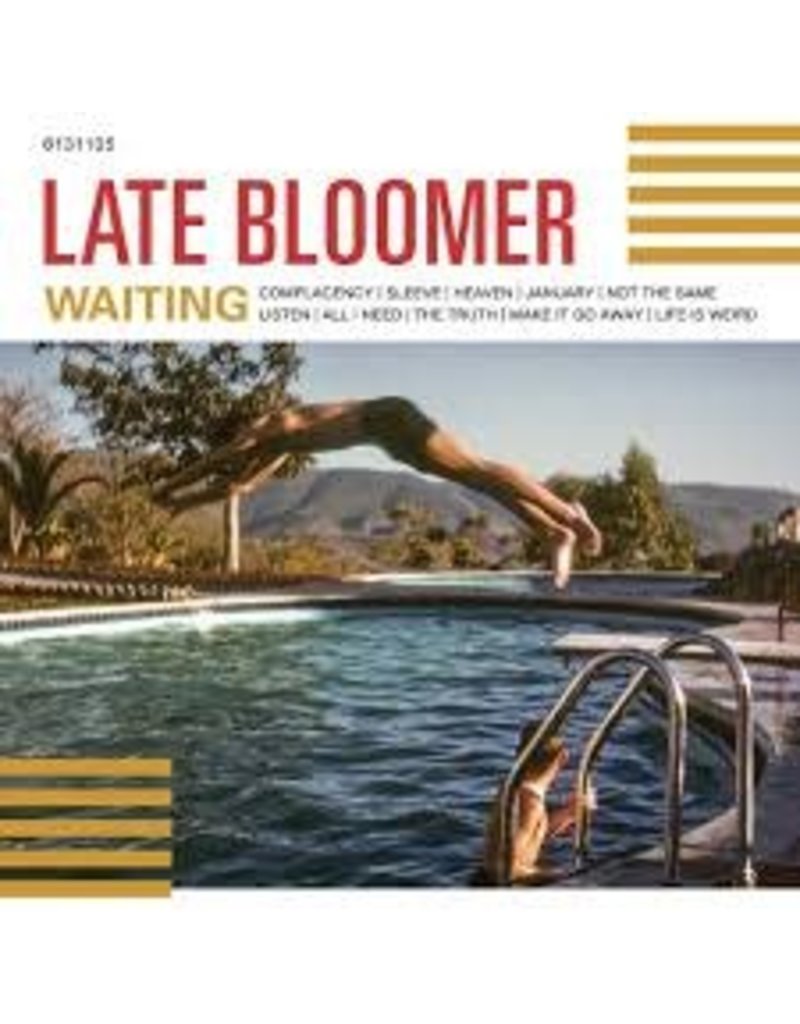6131 Records (LP) Late Bloomer - Waiting