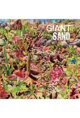 (CD) Giant Sand - Returns To Valley Of Rain