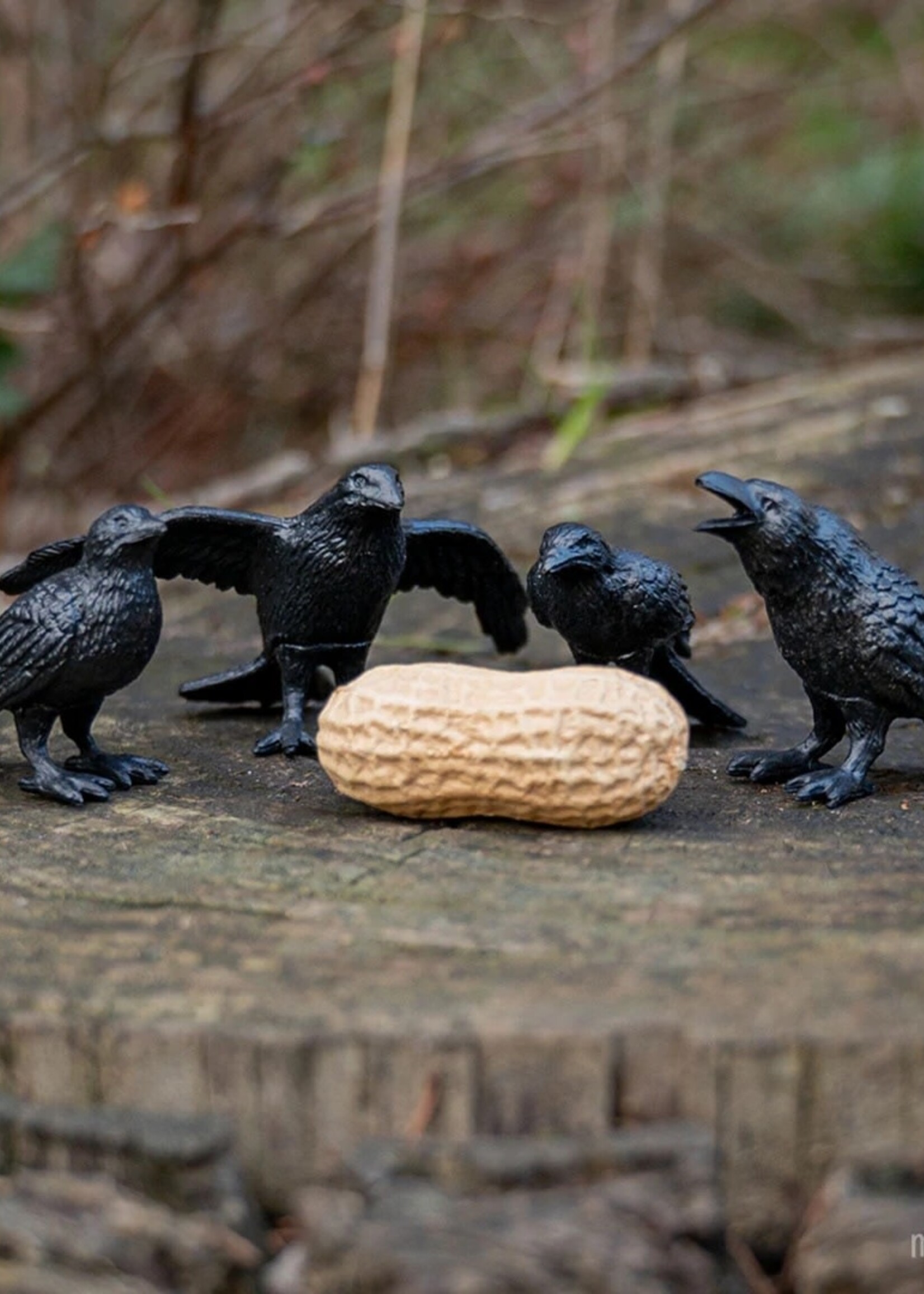 Archie McPhee /  Accoutrements Murder of Crows in a Box