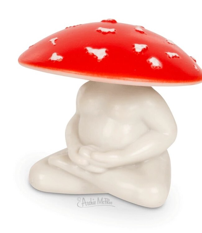 Meditating Mushroom