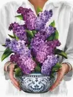 Freshcut Paper Freshcut Paper Mini/ Garden Lilacs