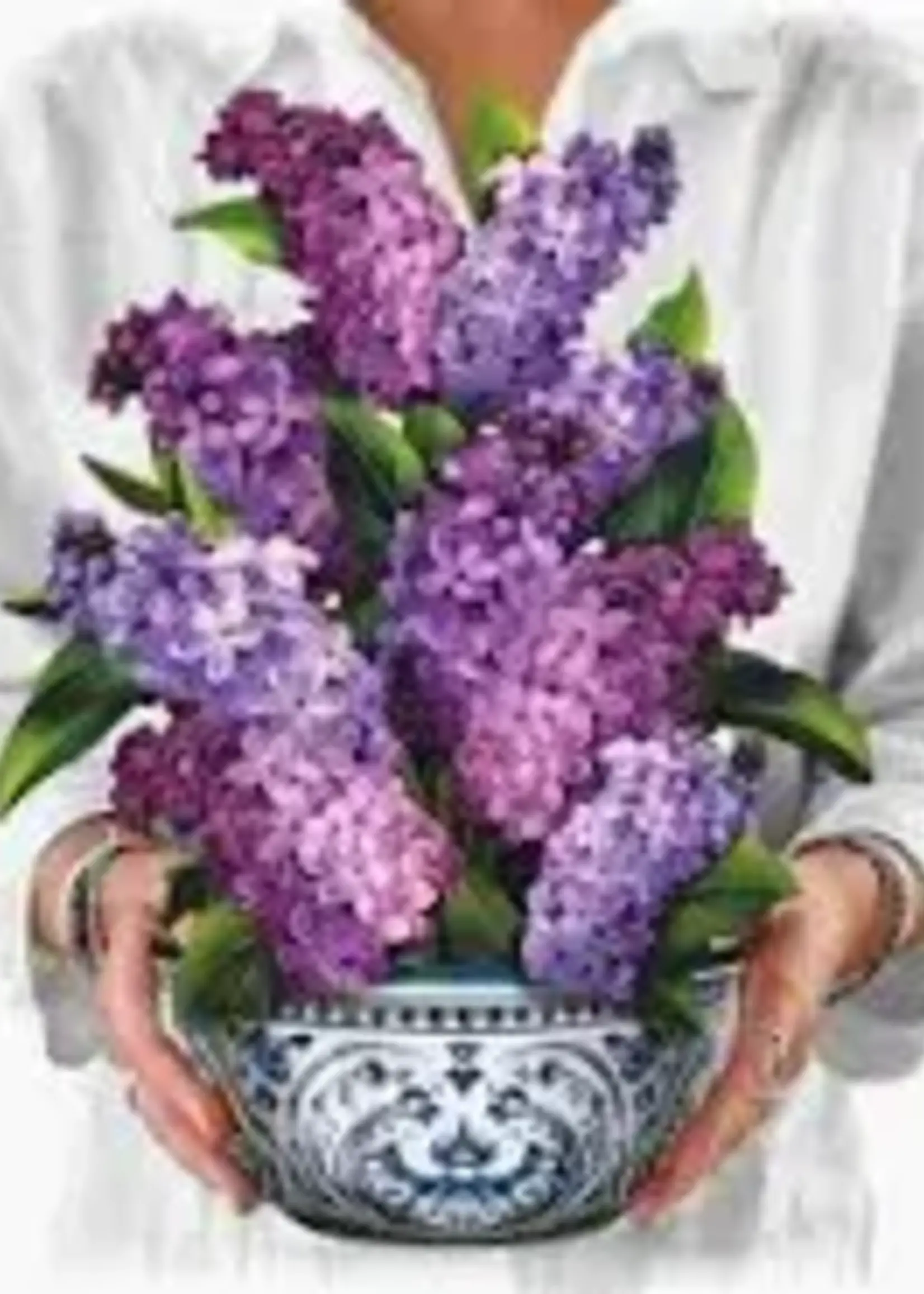 Freshcut Paper Freshcut Paper Mini/ Garden Lilacs