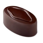 Pavoni Pavoni - Artisanal Polycarbonate Chocolate Mold, Oval - Roar, PC110