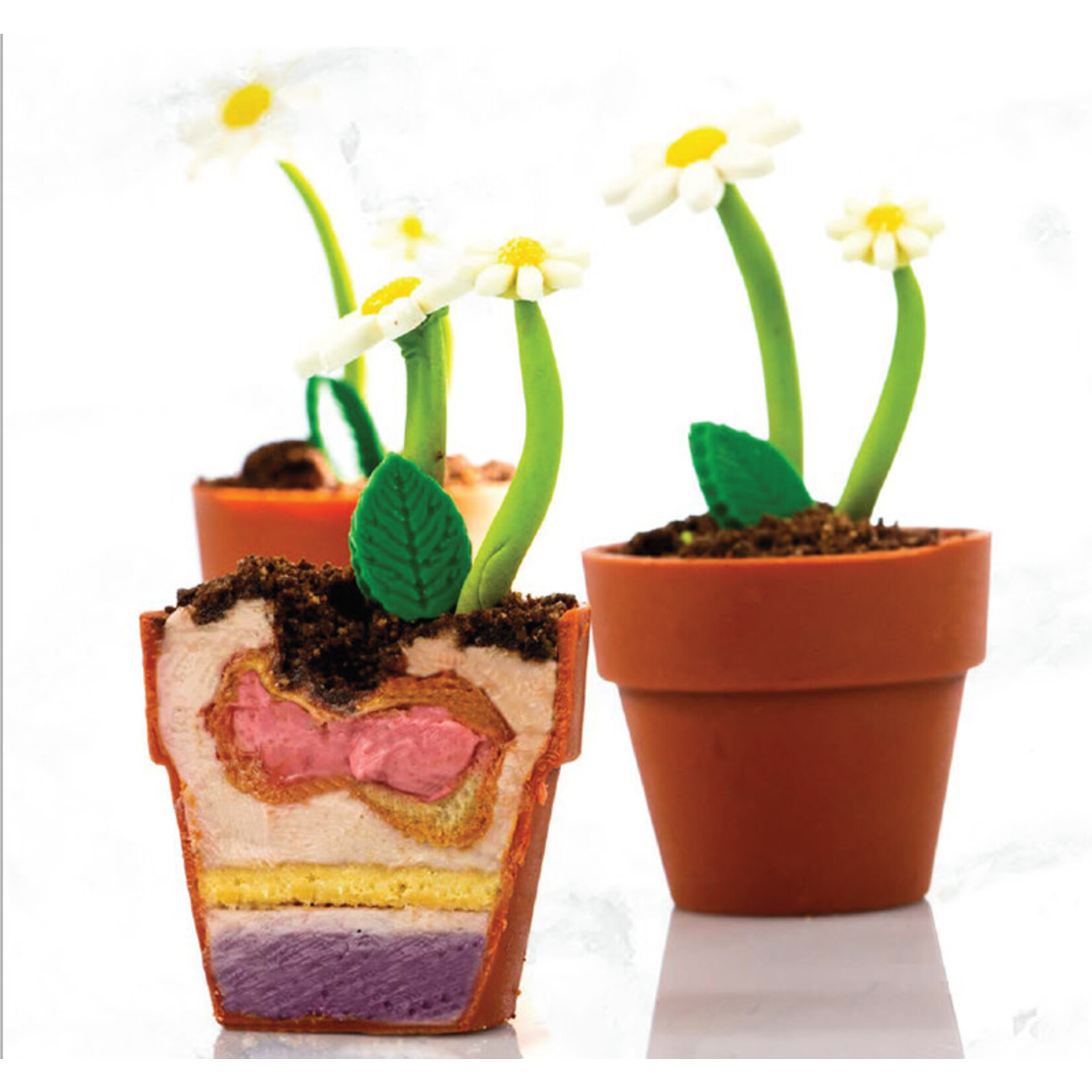 Dobla Dobla - Terracotta Chocolate Flower Pot Mini (24 ct)