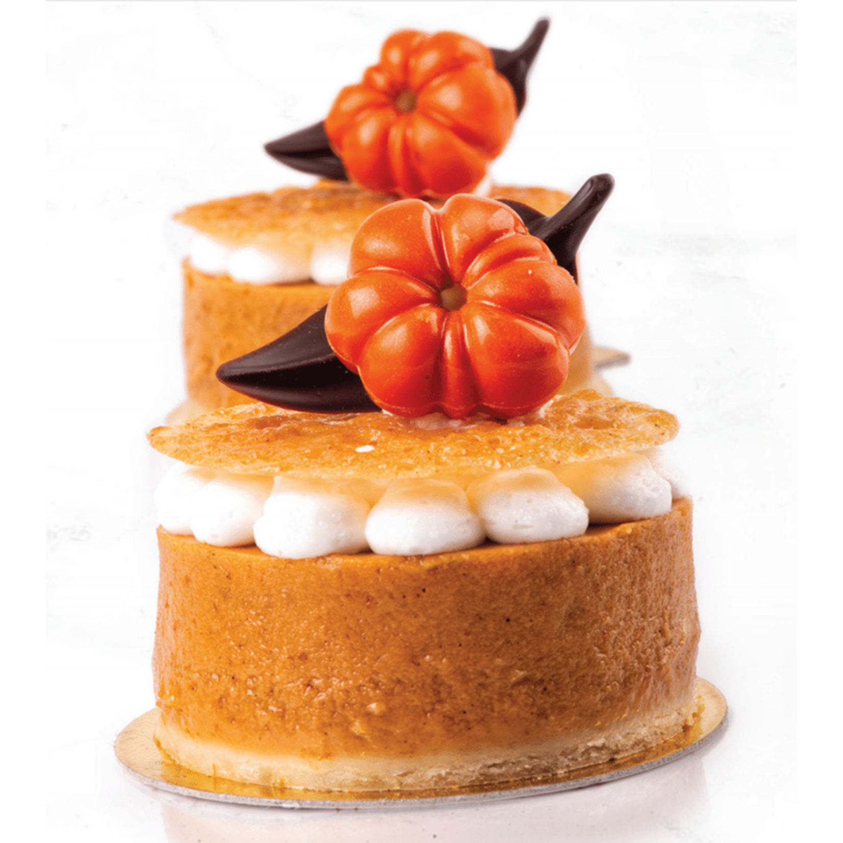 Cacao Noel Noel - Dark Chocolate Curvy Elegance (128 ct)