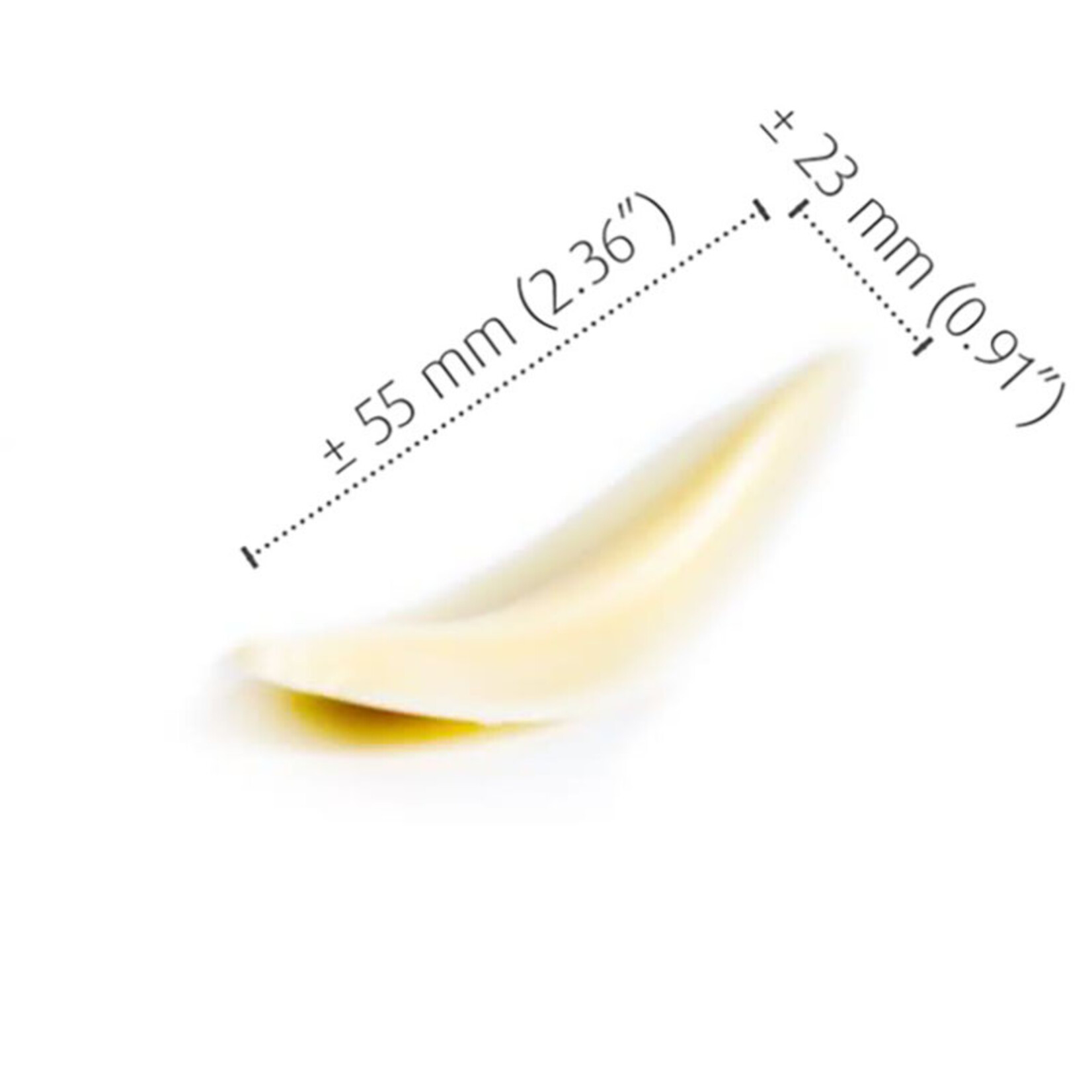 Cacao Noel Noel - White Chocolate Curvy Elegance (128 ct)