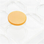Martellato Martellato - Circle 33 Polycarbonate Chocolate Mold (24 cavity)