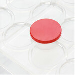 Martellato Martellato - Circle 30 Polycarbonate Chocolate Mold (24 cavity)
