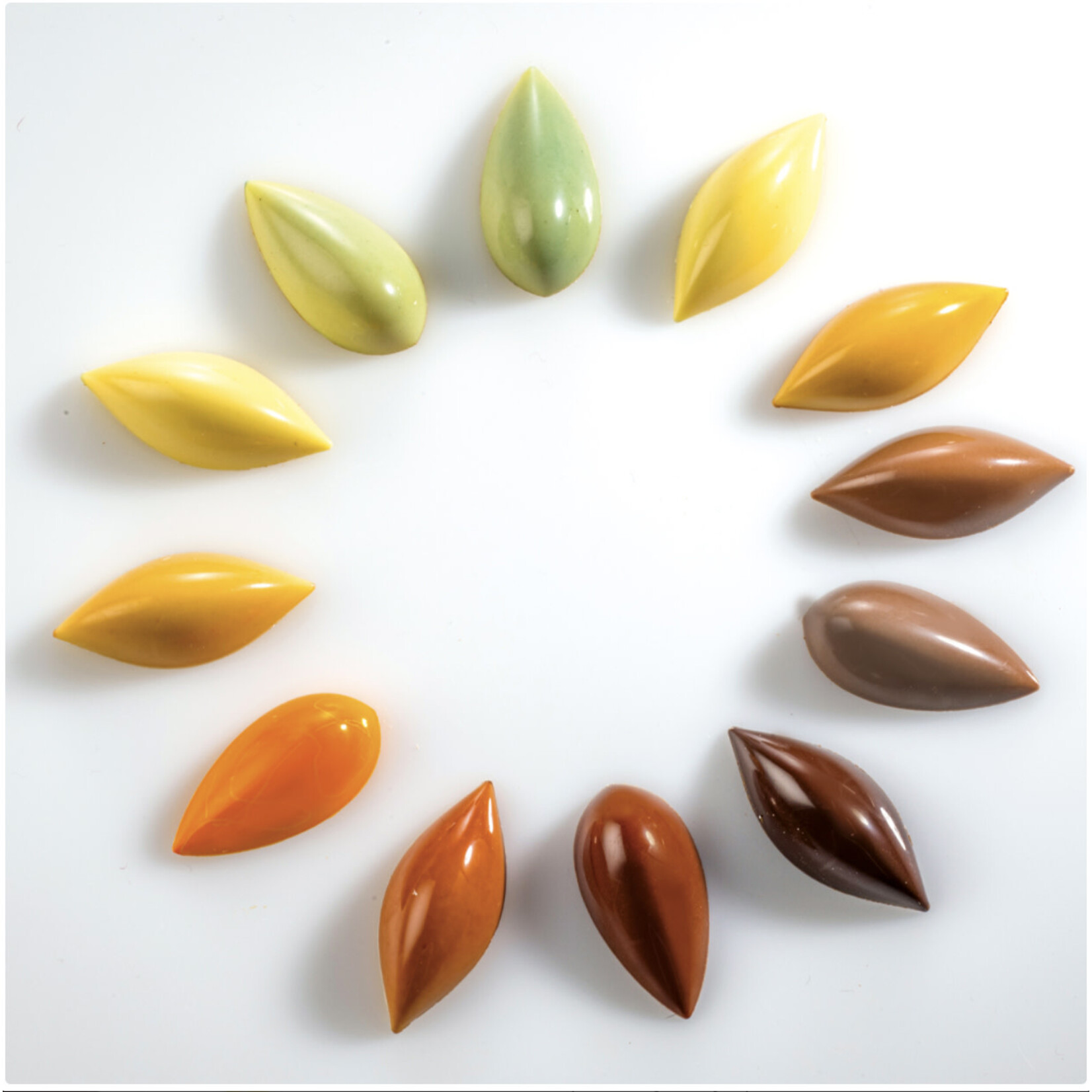 Martellato Martellato - Bloom Polycarbonate Chocolate Mold (21 cavity)