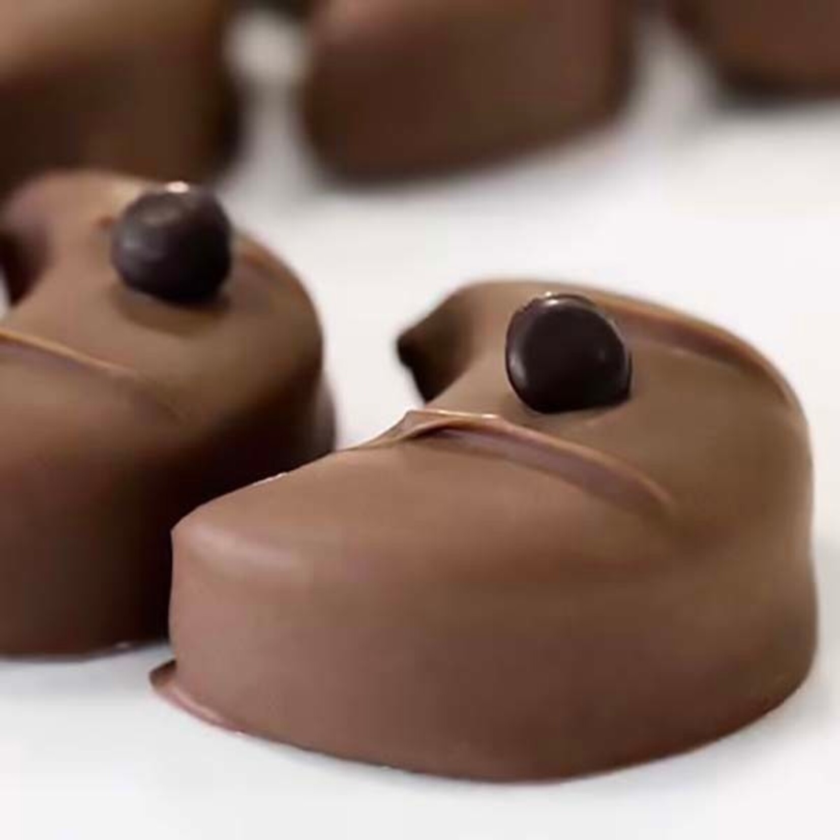 Irca Irca - Reno Concerto Dark Chocolate 72% - 11 lb