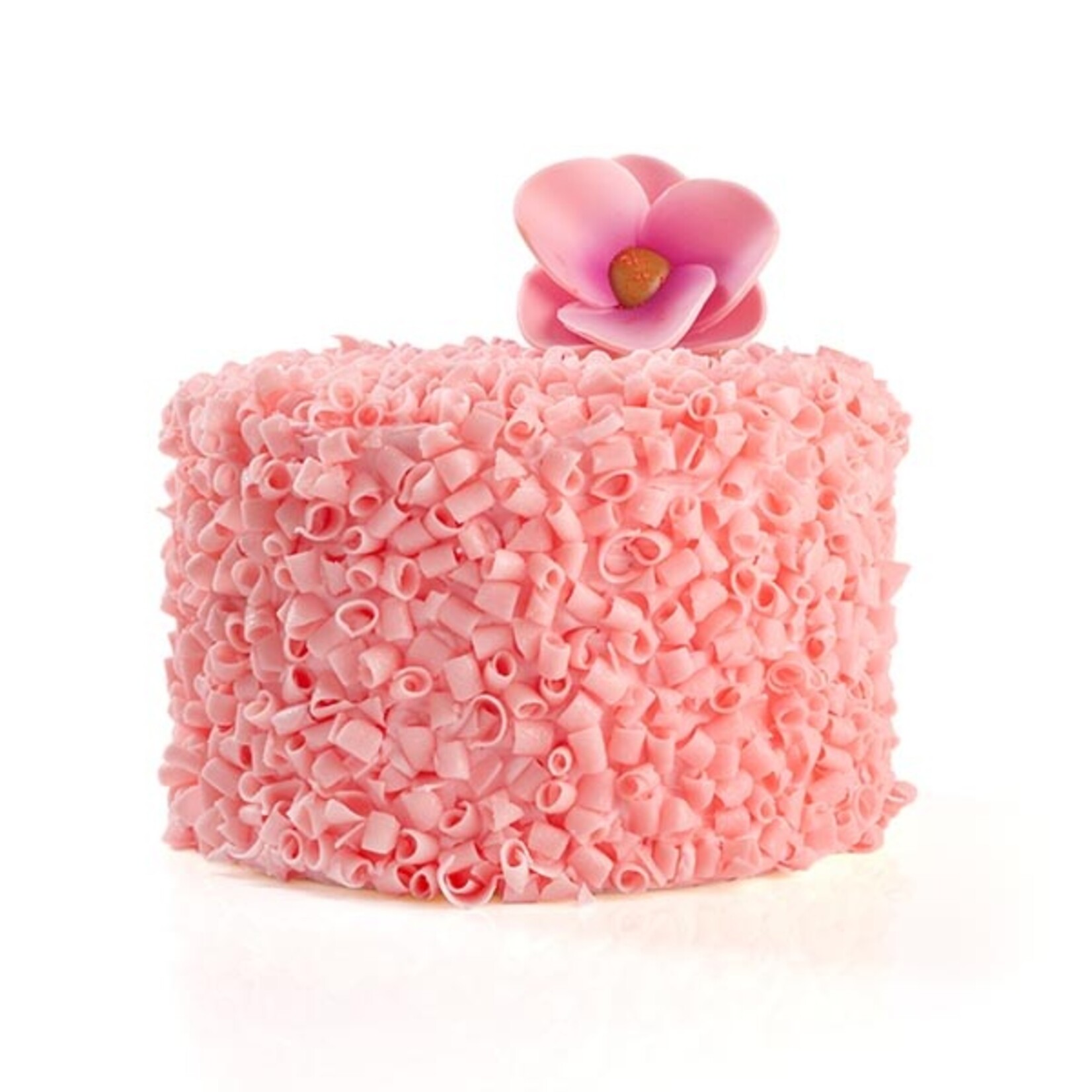 Dobla Dobla - Pink Chocolate Curls - 12 lb