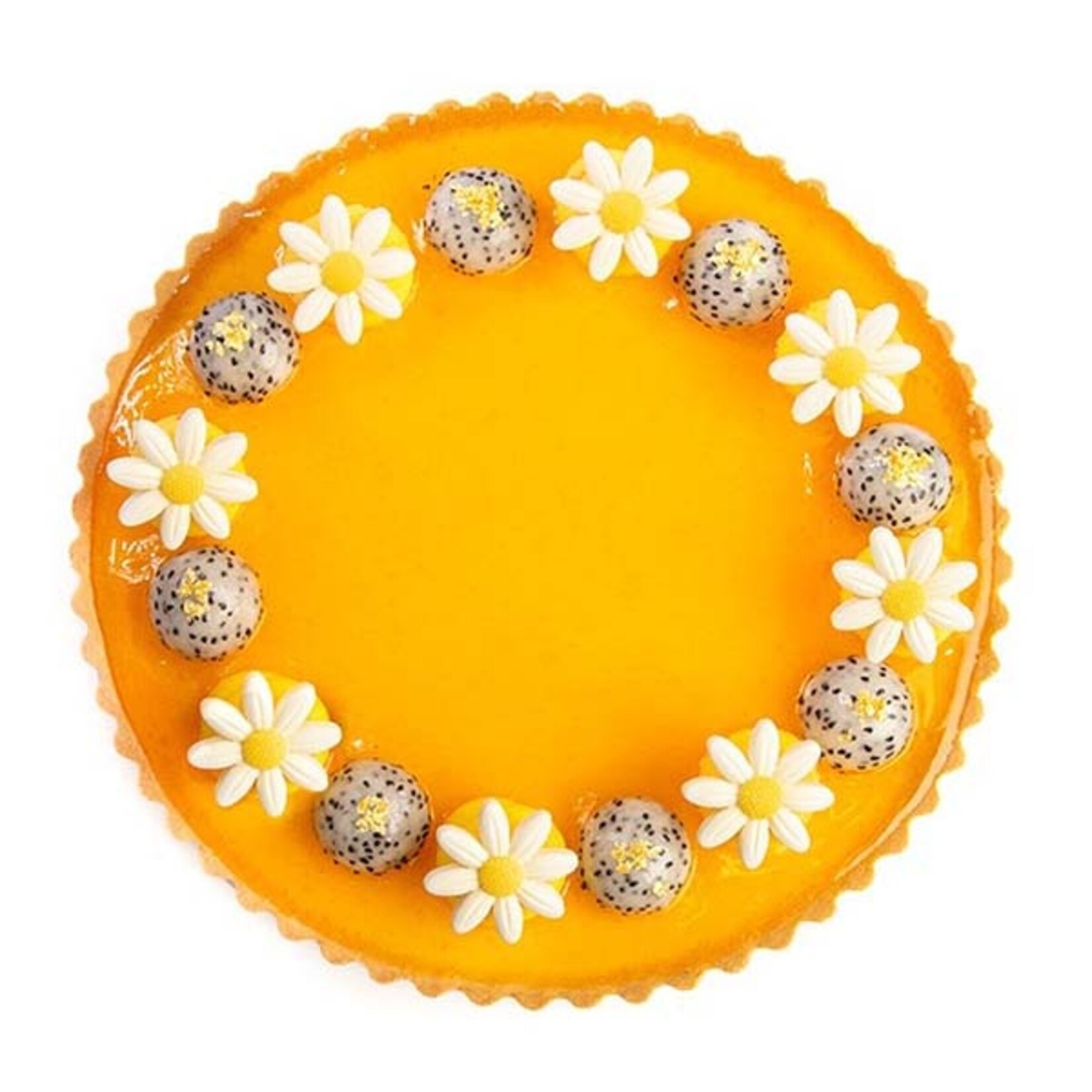 Dobla Dobla - White Chocolate Daisy XL (108 ct)